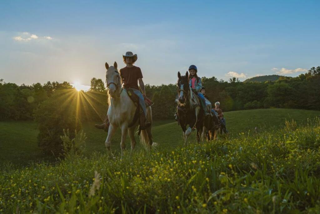 Cherry Log Summit Cabin By Bk Stays - Family Friendly - Playground - Game Room - Jacuzzi - Amazing Mountain Views Zewnętrze zdjęcie